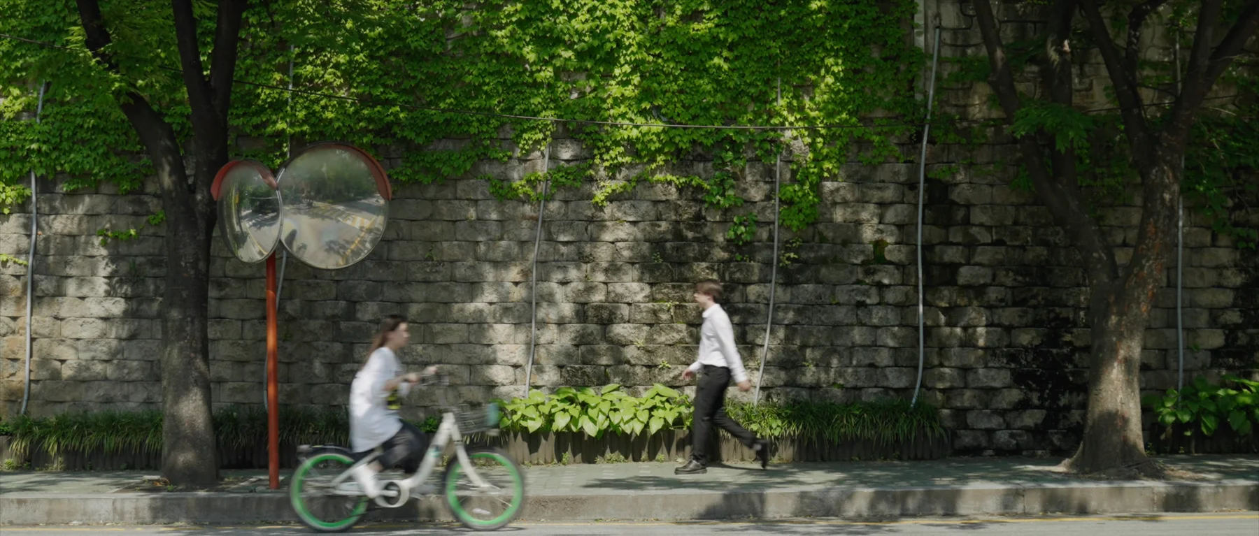 Old Neighborhood with Greeny Trees — film still 2