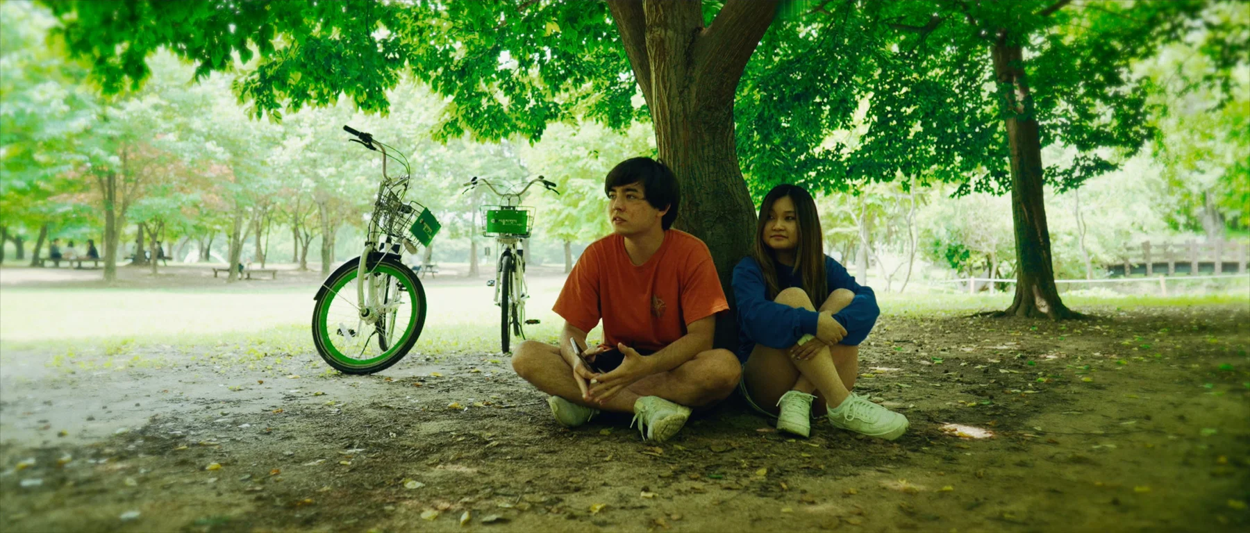 Old Neighborhood with Greeny Trees — film still 7